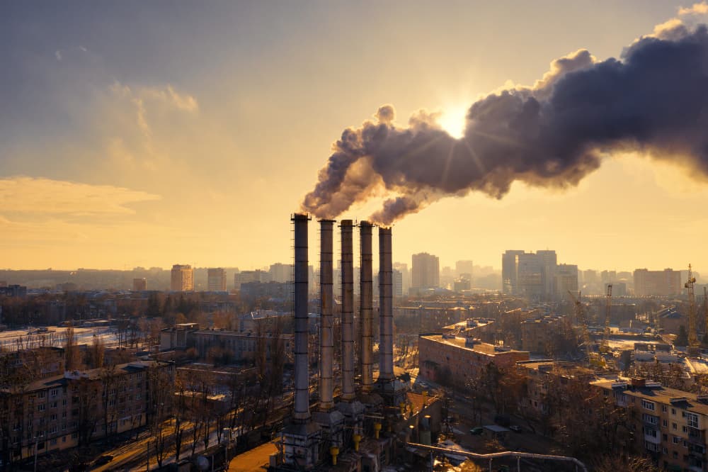 Milkywire Backs 40 New Carbon Removal Projects in 2025